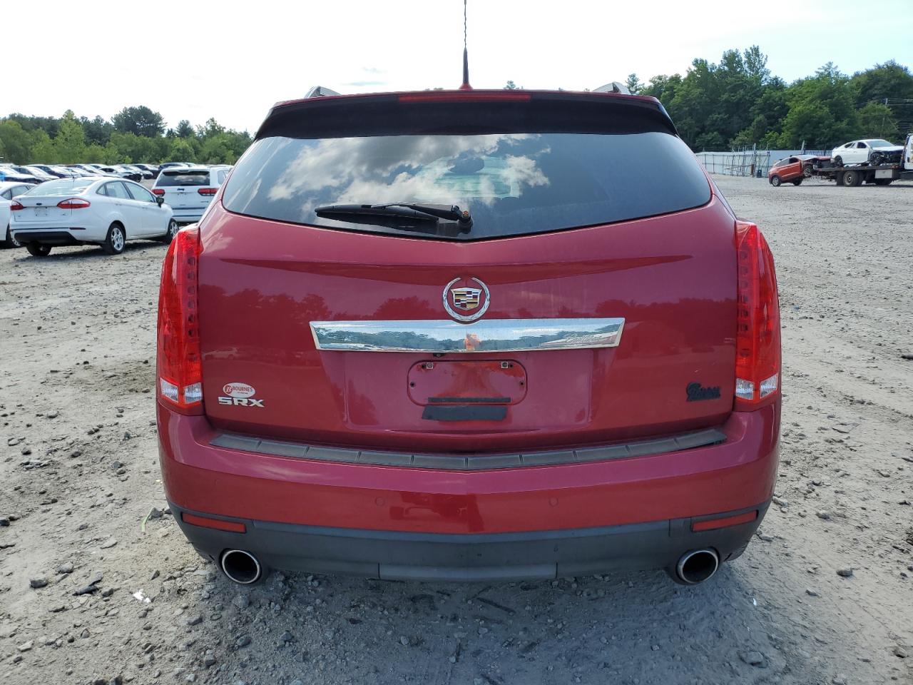 2010 Cadillac Srx Performance Collection VIN: 3GYFNBEY6AS546389 Lot: 65756624
