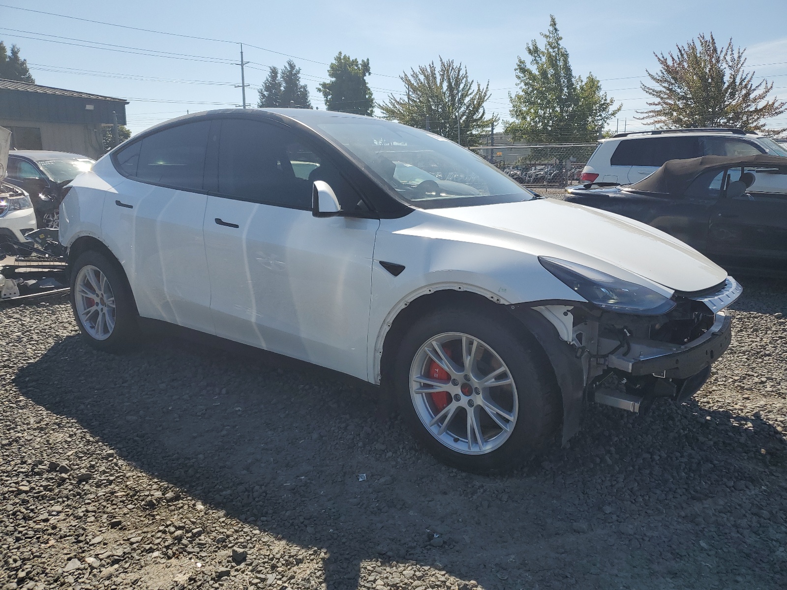 7SAYGDEE1PF812593 2023 Tesla Model Y