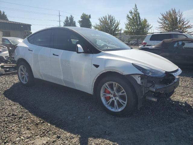  TESLA MODEL Y 2023 Белый