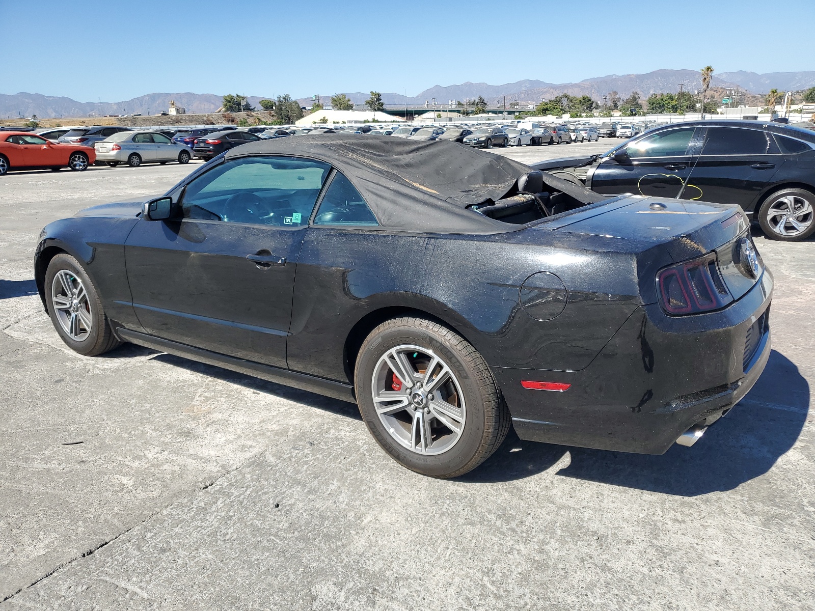 1ZVBP8EM3D5239384 2013 Ford Mustang