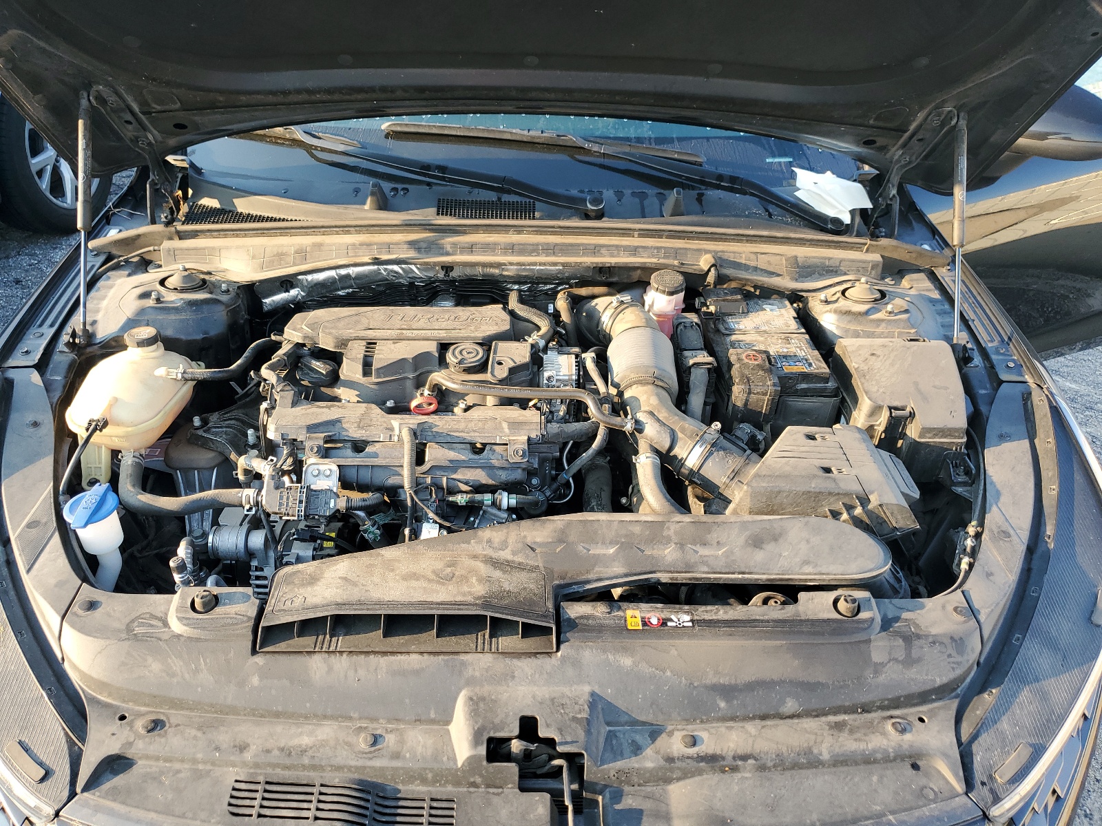 5XXG14J25NG142529 2022 Kia K5 Lxs