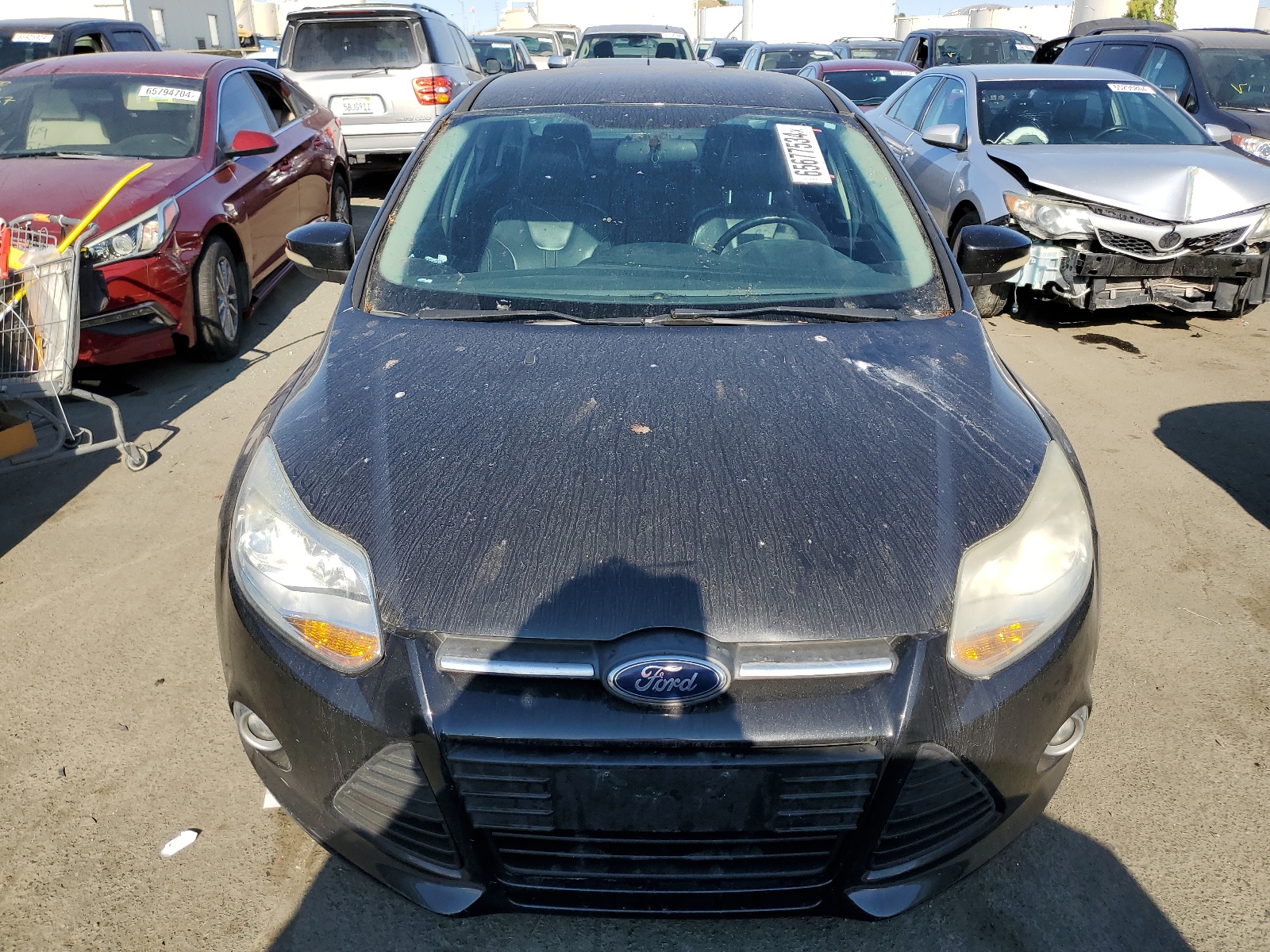 2013 Ford Focus Se vin: 1FADP3F26DL170994