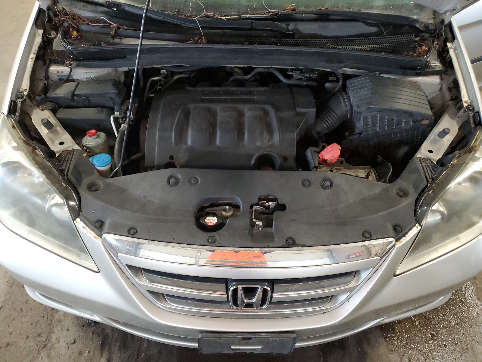 5FNRL38236B066817 2006 Honda Odyssey Lx