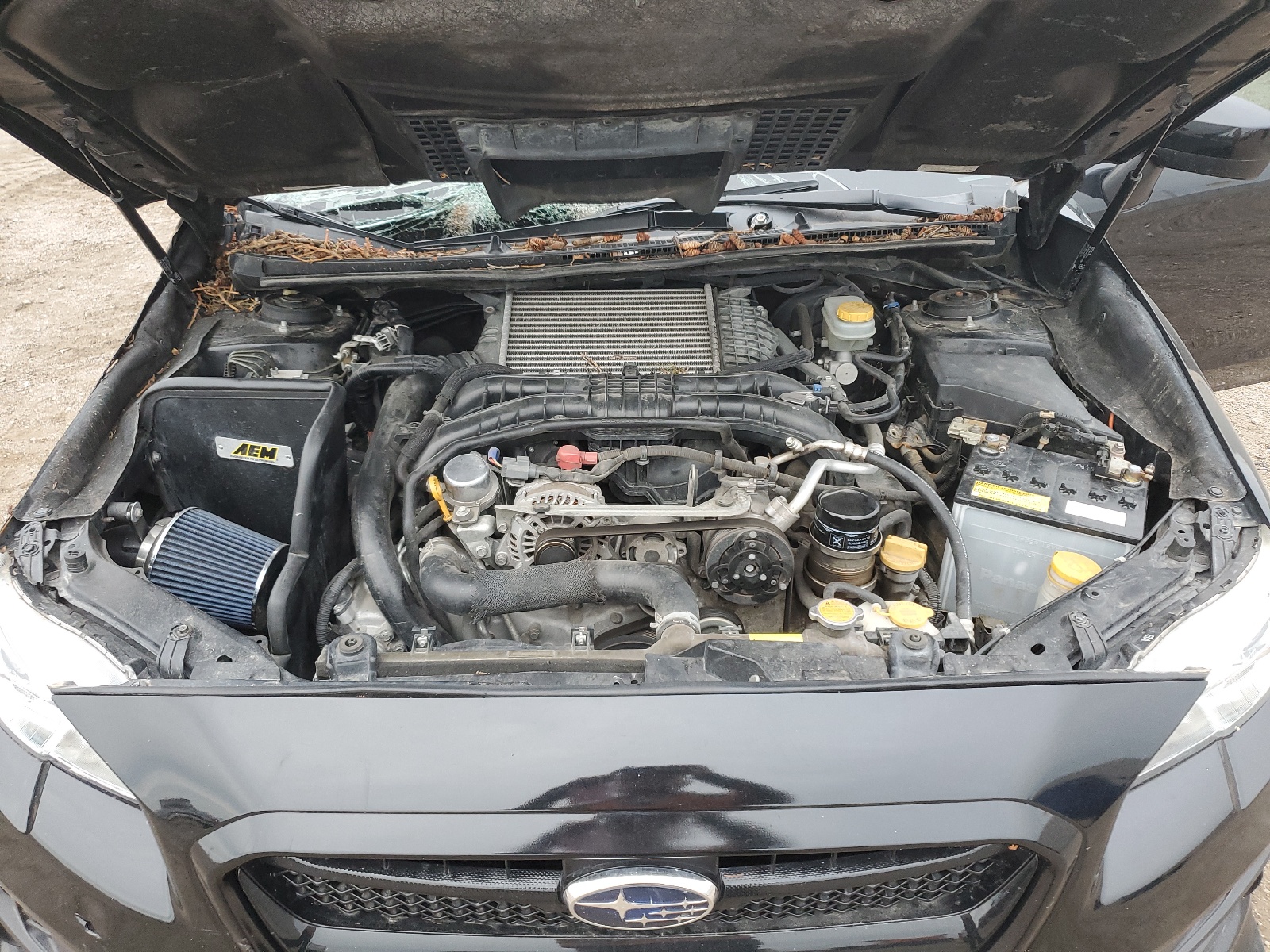 JF1VA1E60G8801714 2016 Subaru Wrx Premium