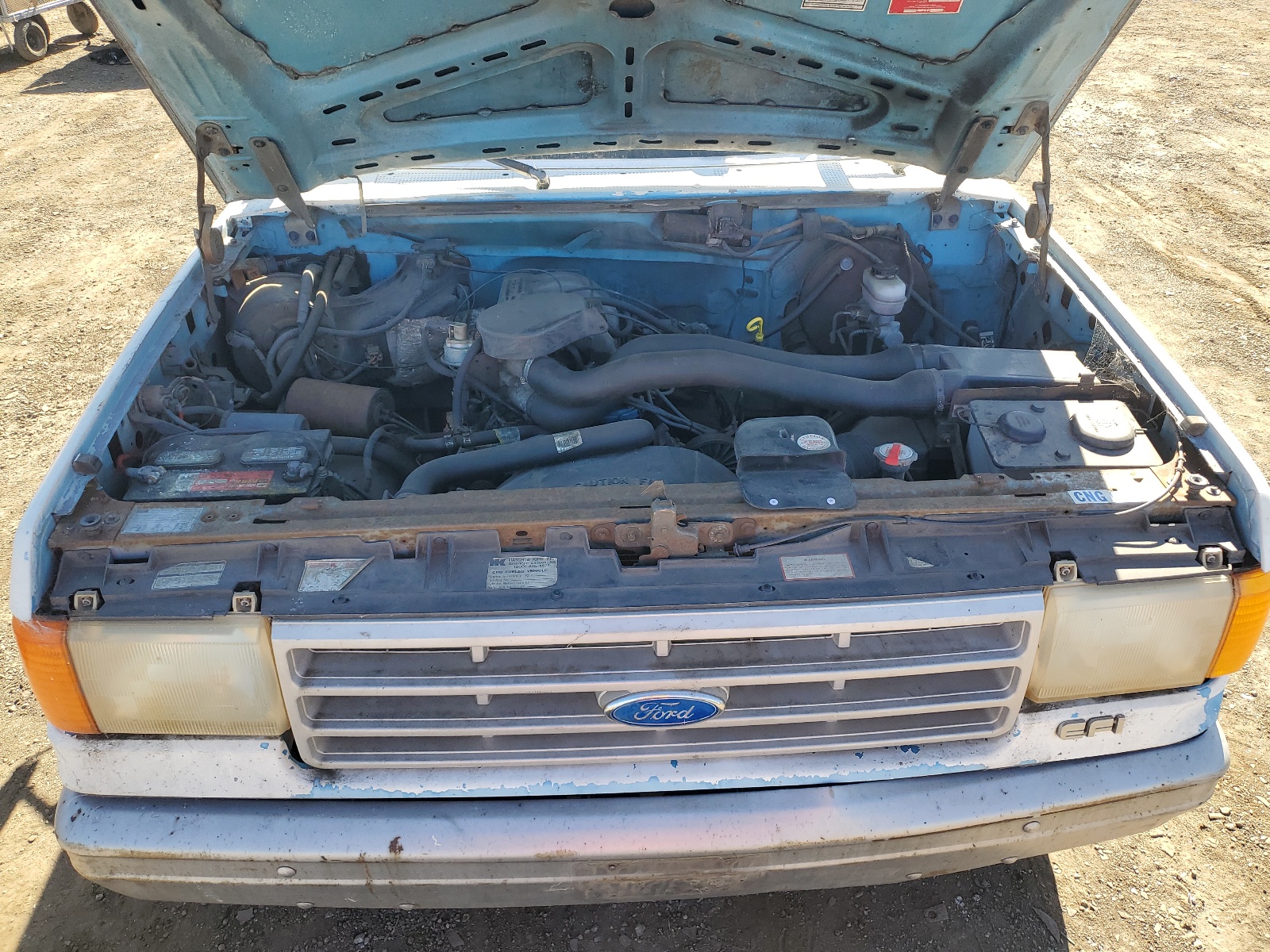 1FTEF15N2MKB01369 1991 Ford F150