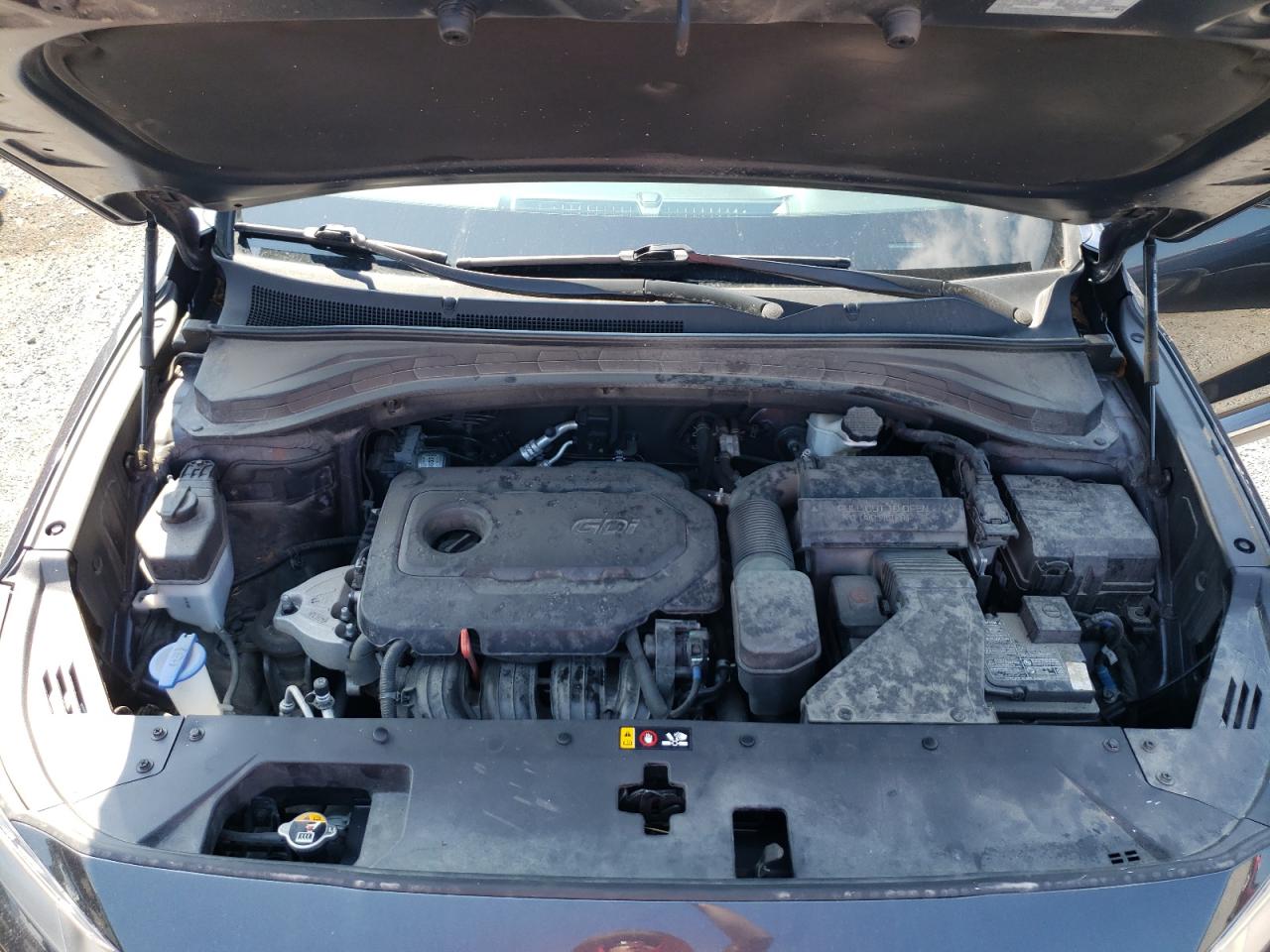 2020 Hyundai Santa Fe Sel VIN: 5NMS3CAD1LH265694 Lot: 65963214