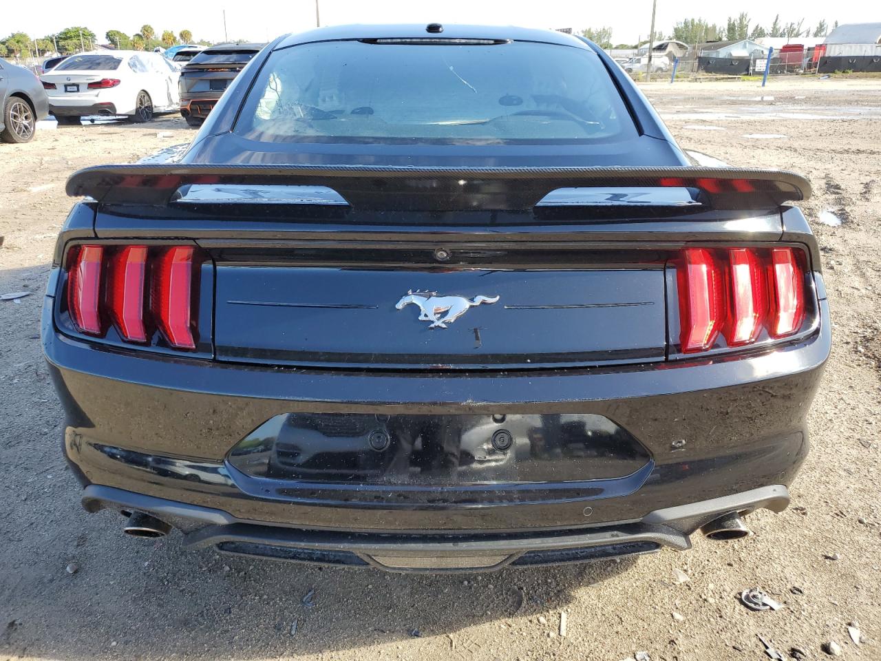 2019 Ford Mustang VIN: 1FA6P8TH1K5120133 Lot: 69756534