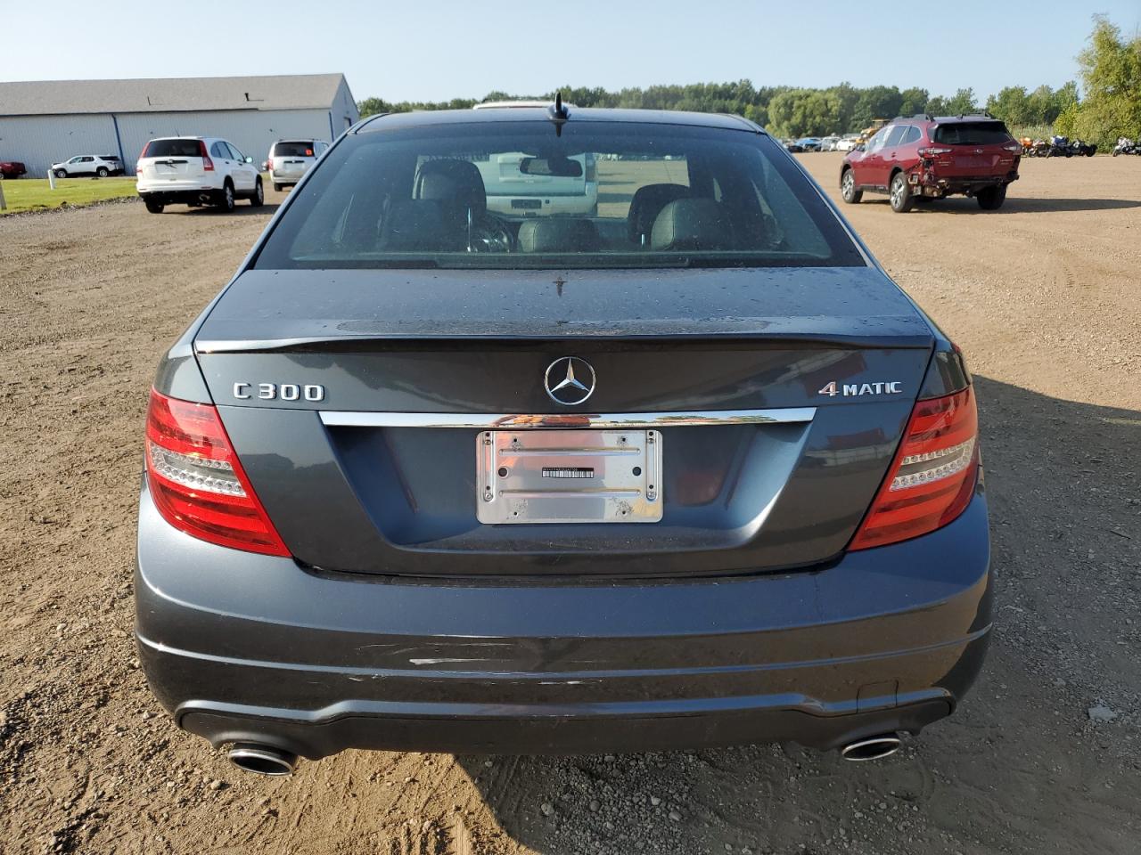 2014 Mercedes-Benz C 300 4Matic VIN: WDDGF8AB3EG247769 Lot: 67582934