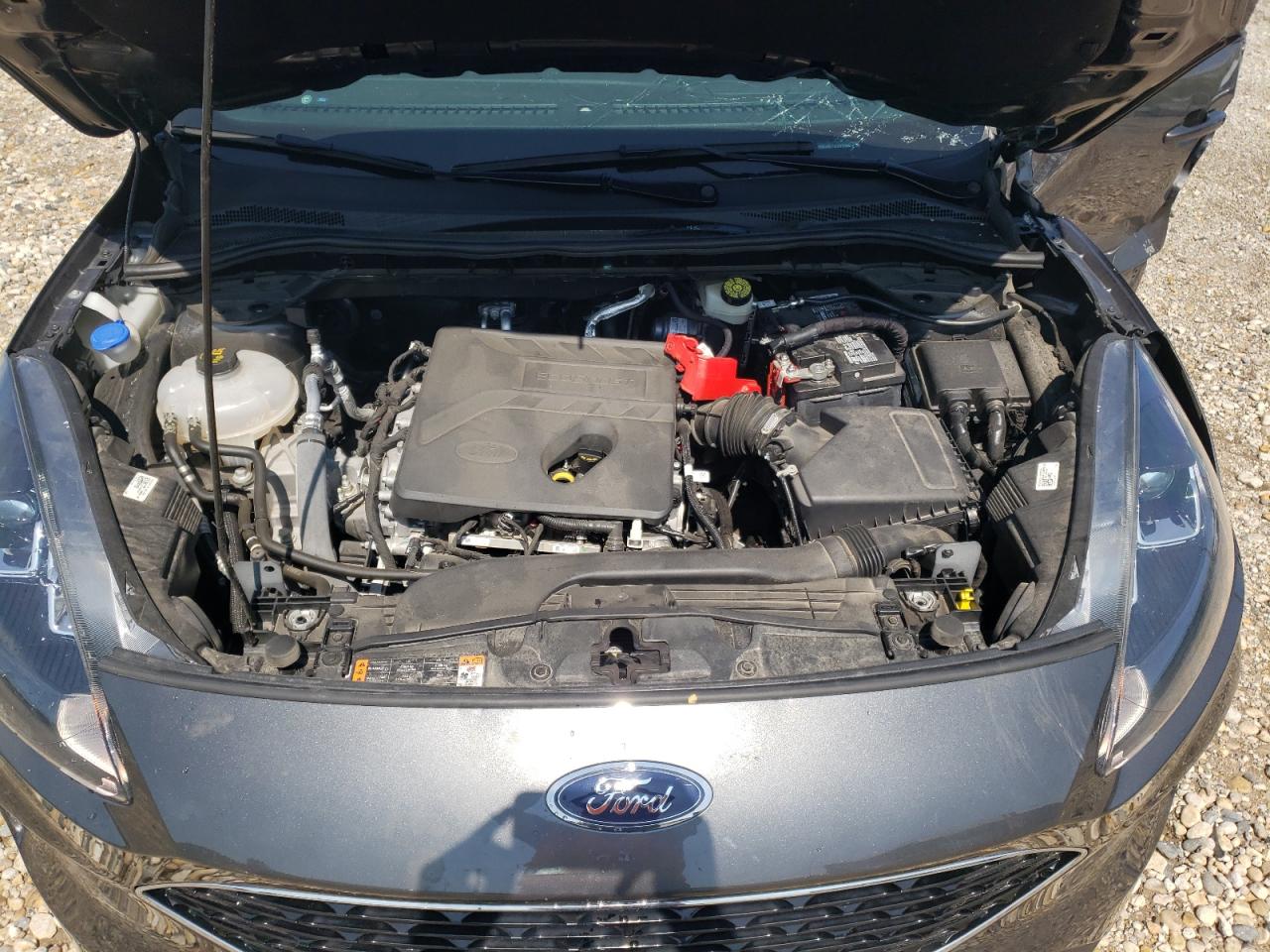 2020 Ford Escape Sel VIN: 1FMCU9H67LUB77636 Lot: 66300724