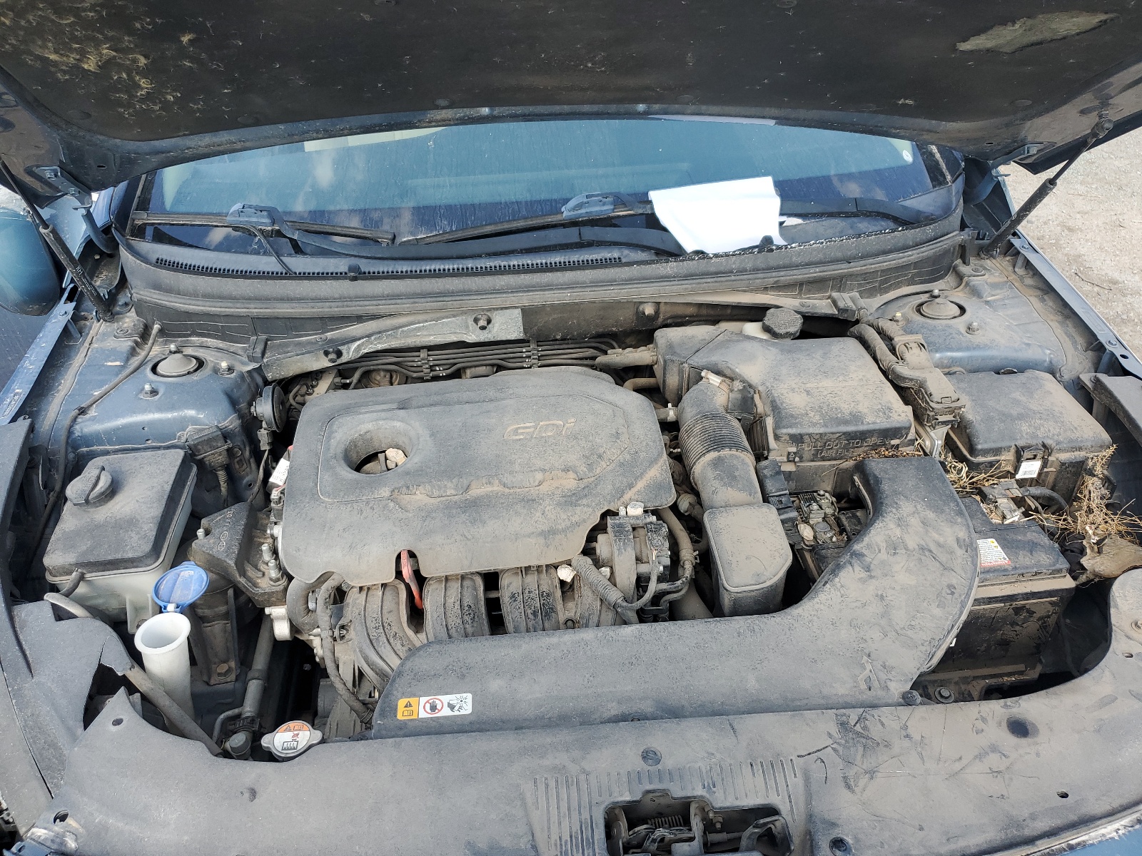 5NPE24AF2GH262500 2016 Hyundai Sonata Se