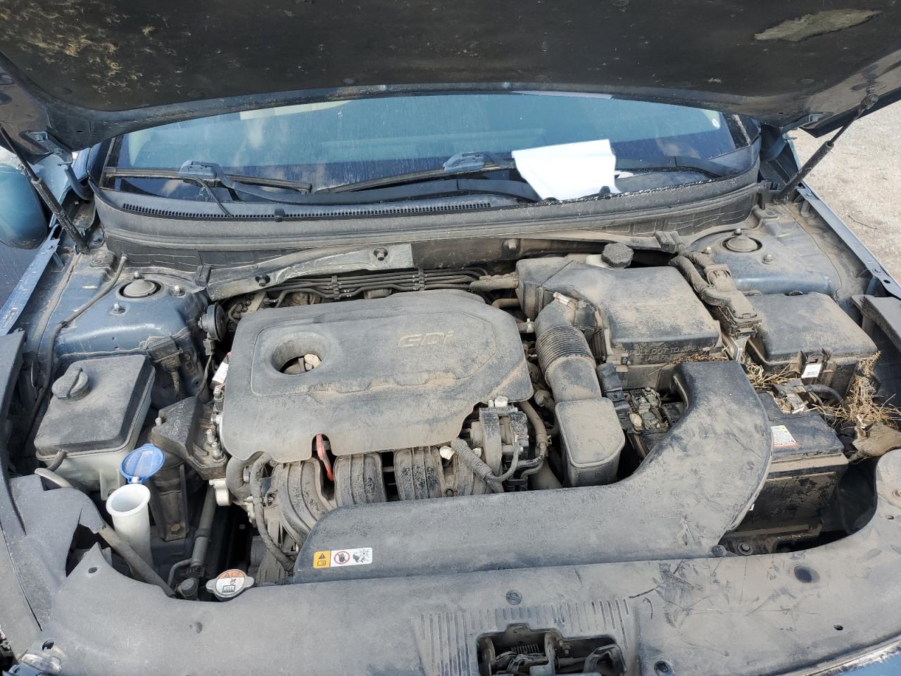 2016 Hyundai Sonata Se VIN: 5NPE24AF2GH262500 Lot: 66011334