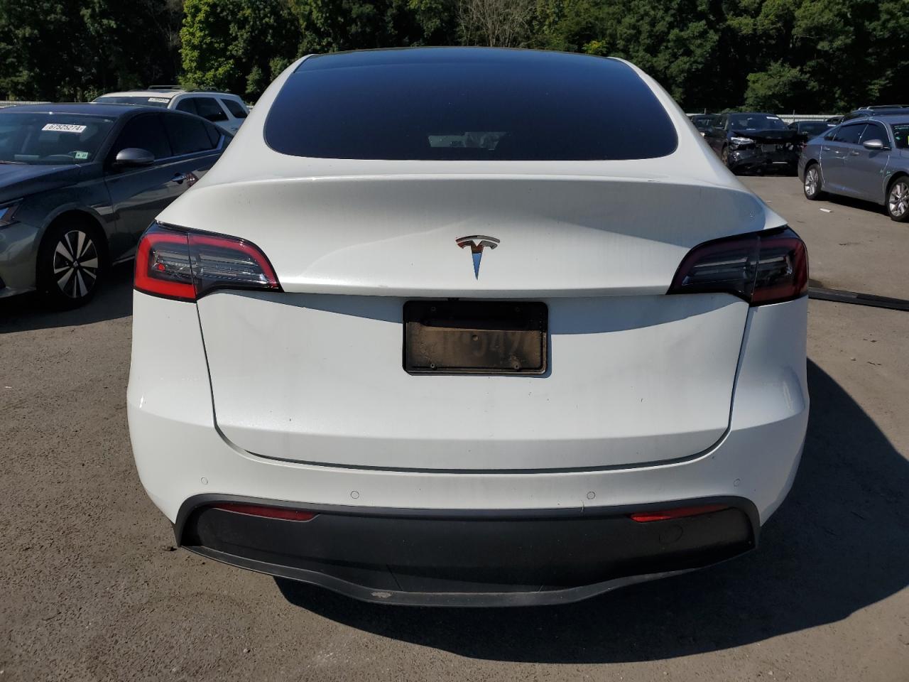 2021 Tesla Model Y VIN: 5YJYGDED2MF132489 Lot: 66169954