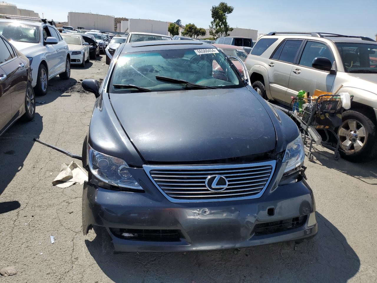 2007 Lexus Ls 460 VIN: JTHBL46F975007902 Lot: 66560454