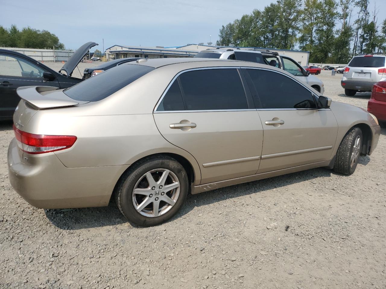 2004 Honda Accord Ex VIN: 1HGCM66594A091049 Lot: 66111524