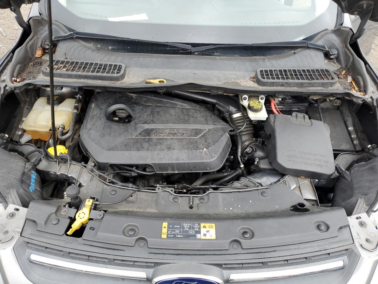 2014 Ford Escape Se VIN: 1FMCU0GX7EUB12875 Lot: 66619104