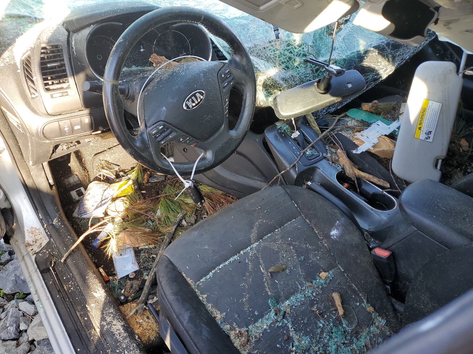 KNAFX5A89F5293557 2015 Kia Forte Ex