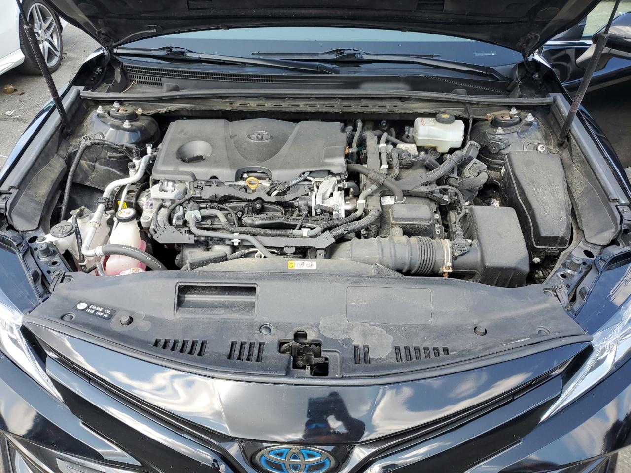 4T1C31AKXLU525876 2020 Toyota Camry Le