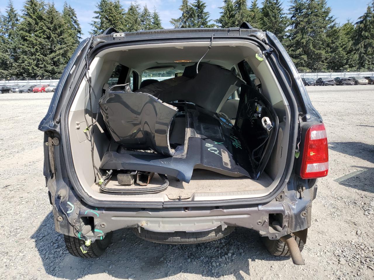 2009 Ford Escape Hybrid VIN: 1FMCU49389KC04189 Lot: 67698674