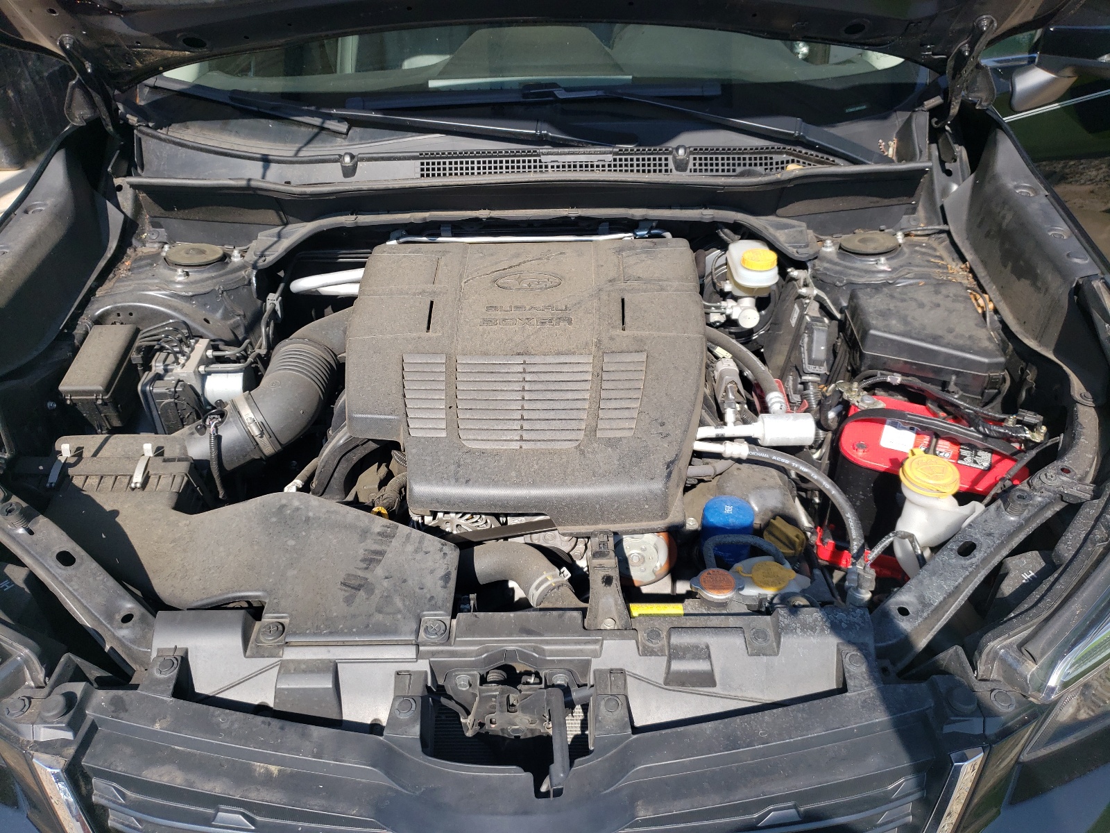 JF2SKASC1KH535005 2019 Subaru Forester Limited