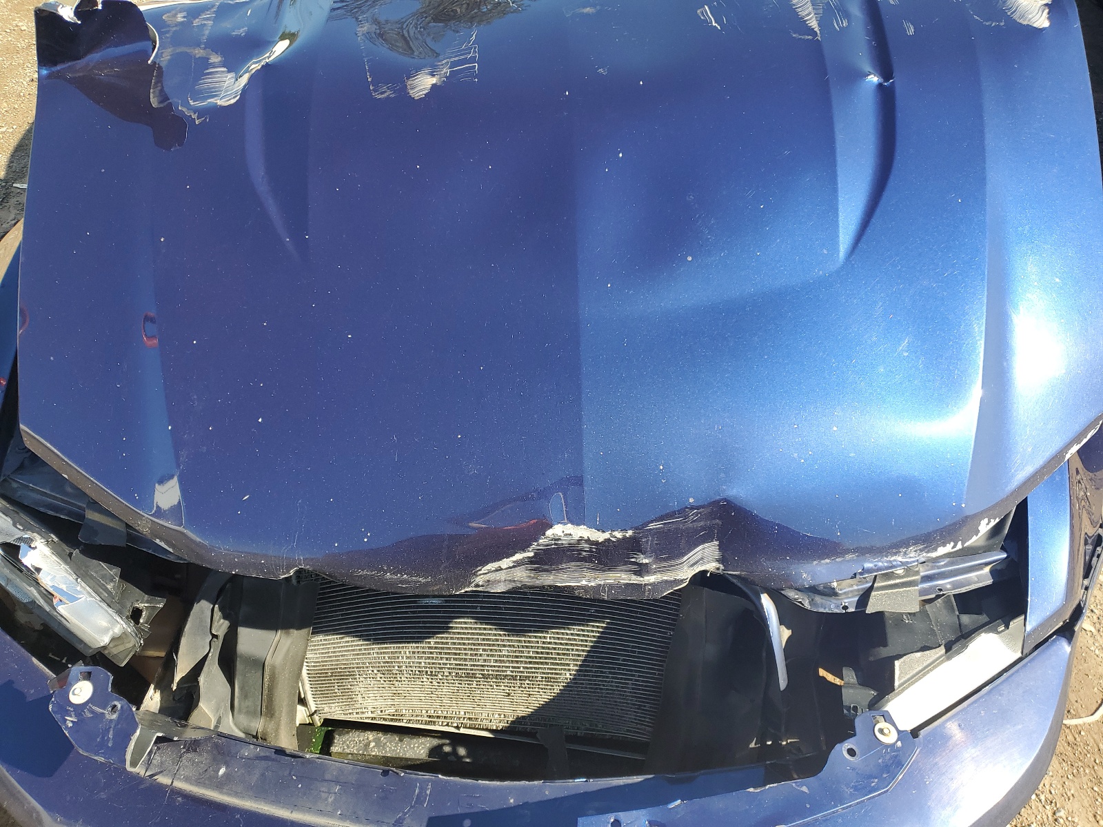 1ZVBP8AM1C5234463 2012 Ford Mustang