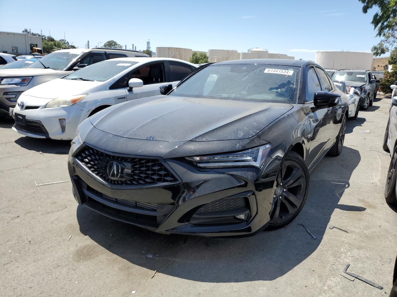 2023 Acura Tlx Tech A VIN: 19UUB5F56PA005799 Lot: 61441534