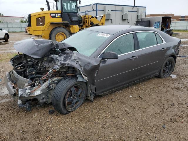  CHEVROLET MALIBU 2012 Gray