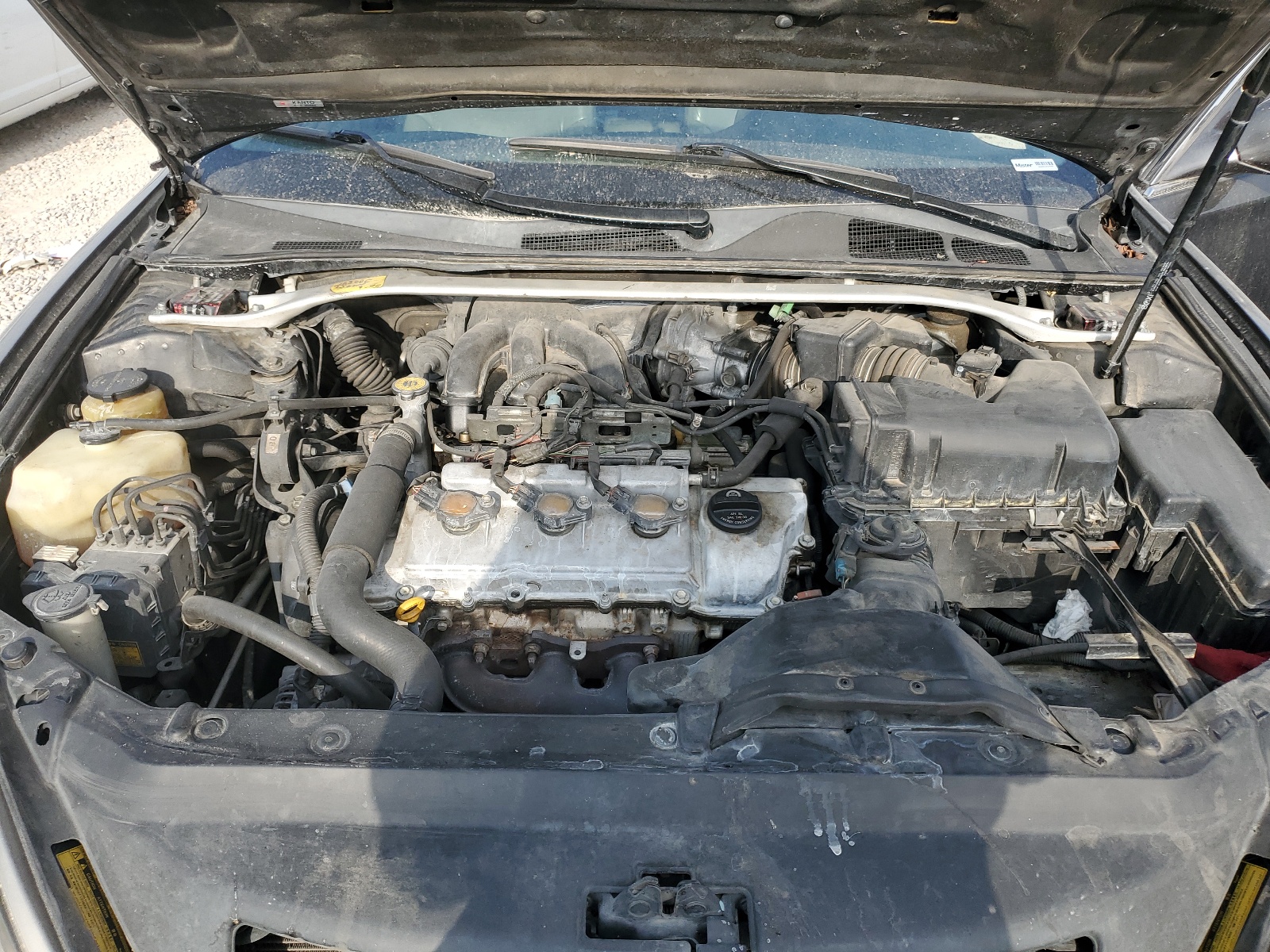 JTHBA30GX45039884 2004 Lexus Es 330