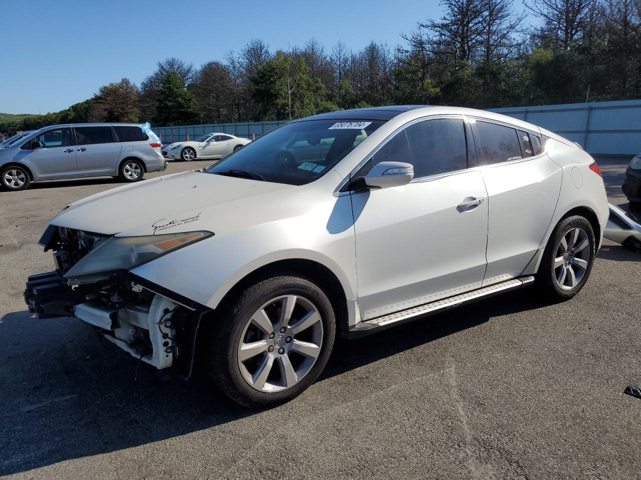 2010 Acura Zdx Advance VIN: 2HNYB1H61AH500719 Lot: 65076704