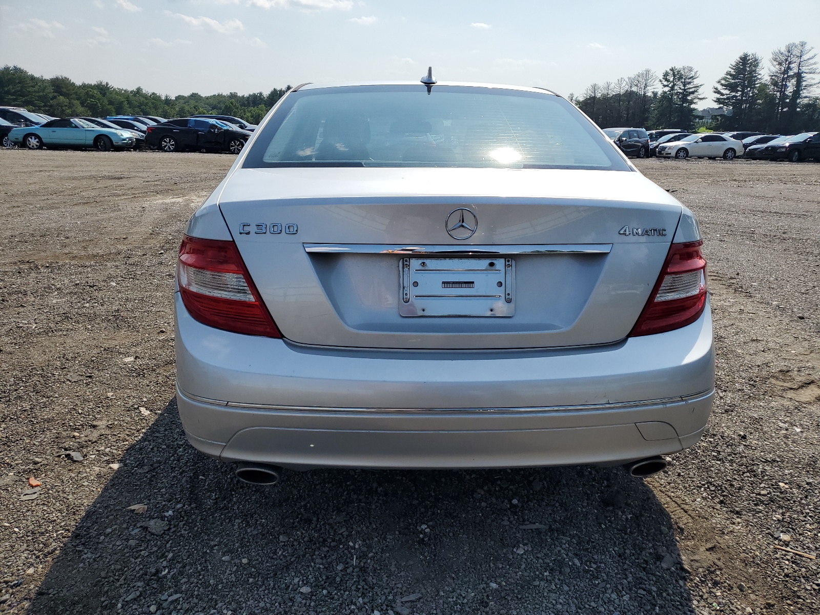 WDDGF8BB1AF525096 2010 Mercedes-Benz C 300 4Matic