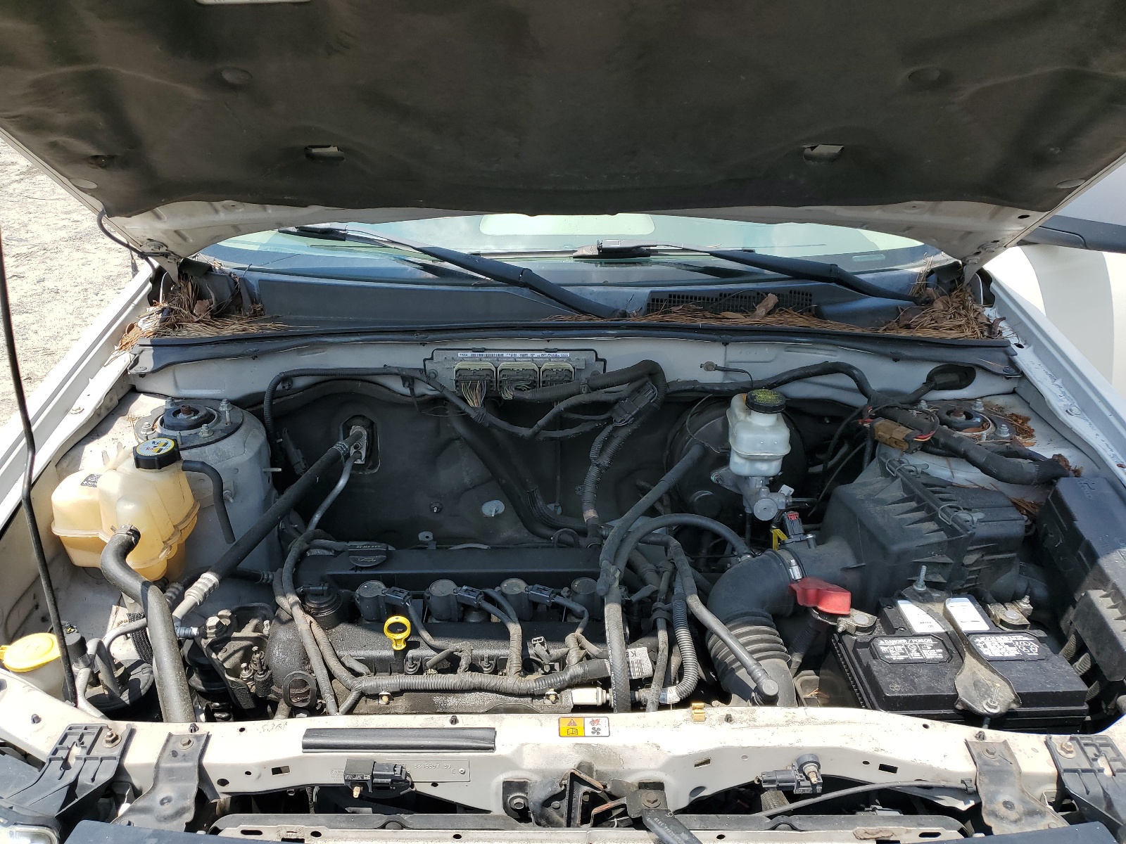 1FMCU0C70CKA88191 2012 Ford Escape Xls