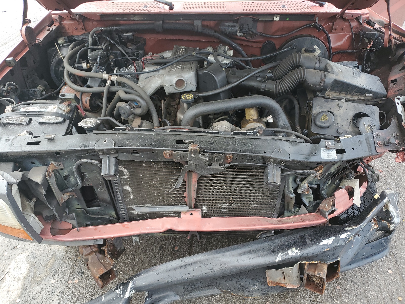 1FTEF14YXRLA86214 1994 Ford F150