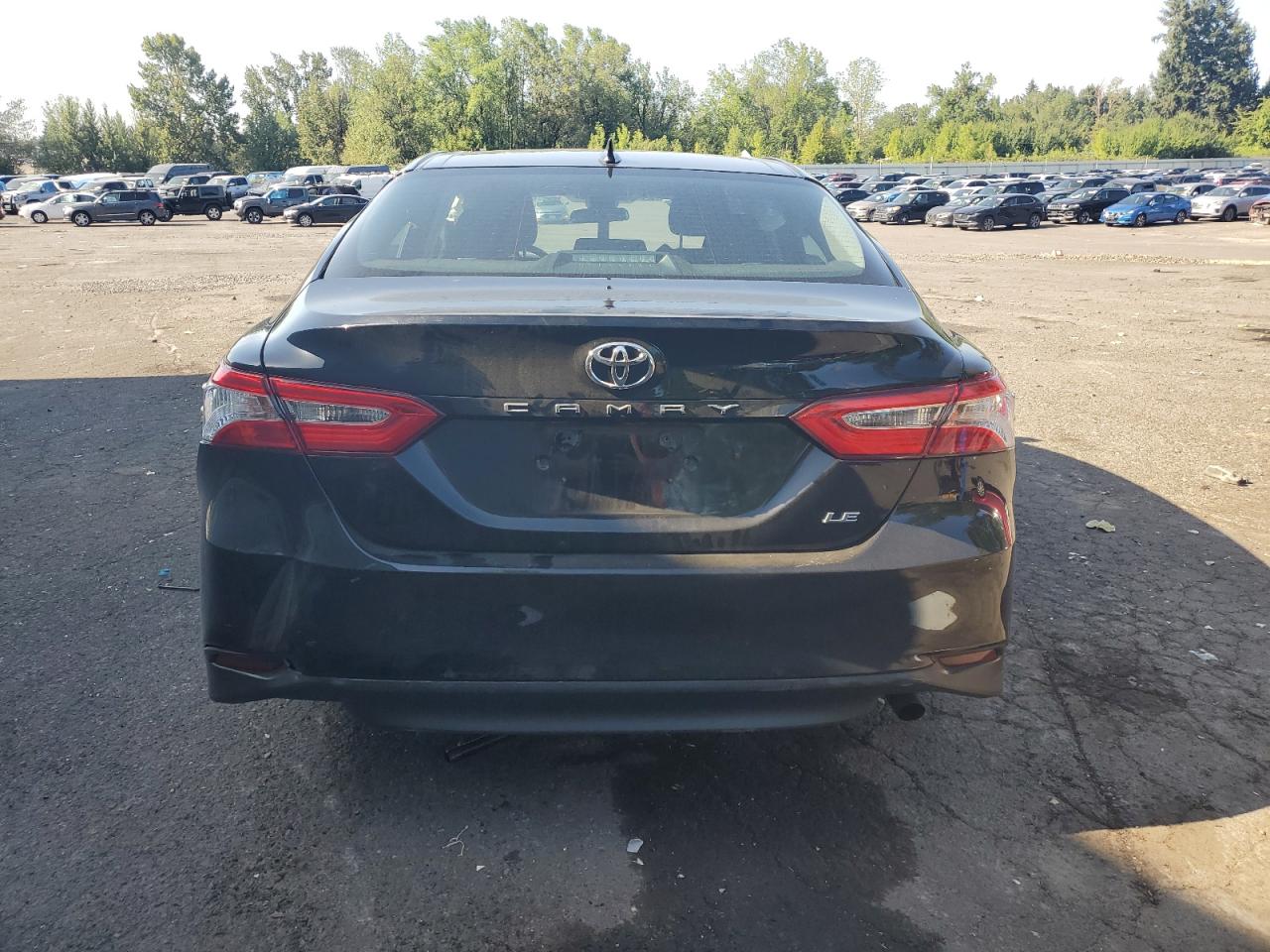 2020 Toyota Camry Le VIN: 4T1C11AK5LU366366 Lot: 66034974