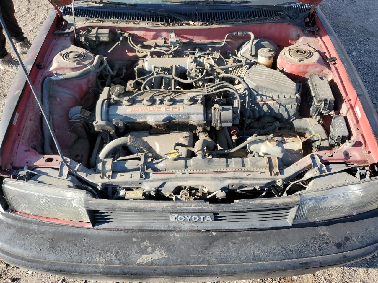 1990 Toyota Corolla VIN: 1NXAE91A8LZ148021 Lot: 65483314