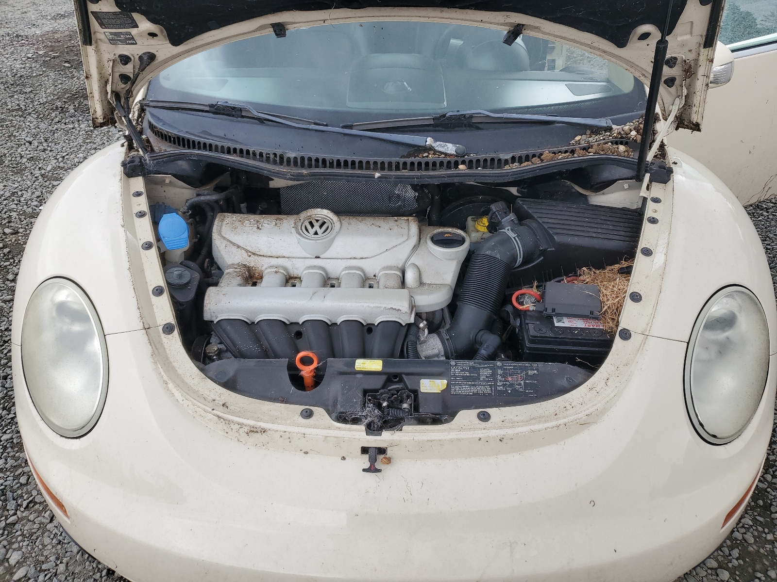 3VWSF31Y76M310873 2006 Volkswagen New Beetle Convertible Option Package 2