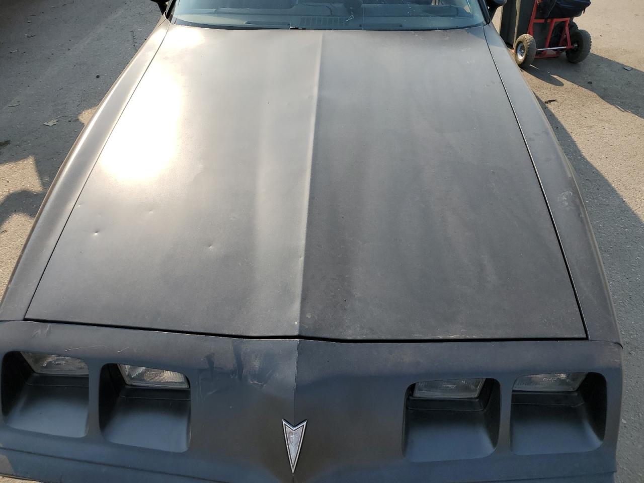 1G2AS87A4BL127822 1981 Pontiac Firebird