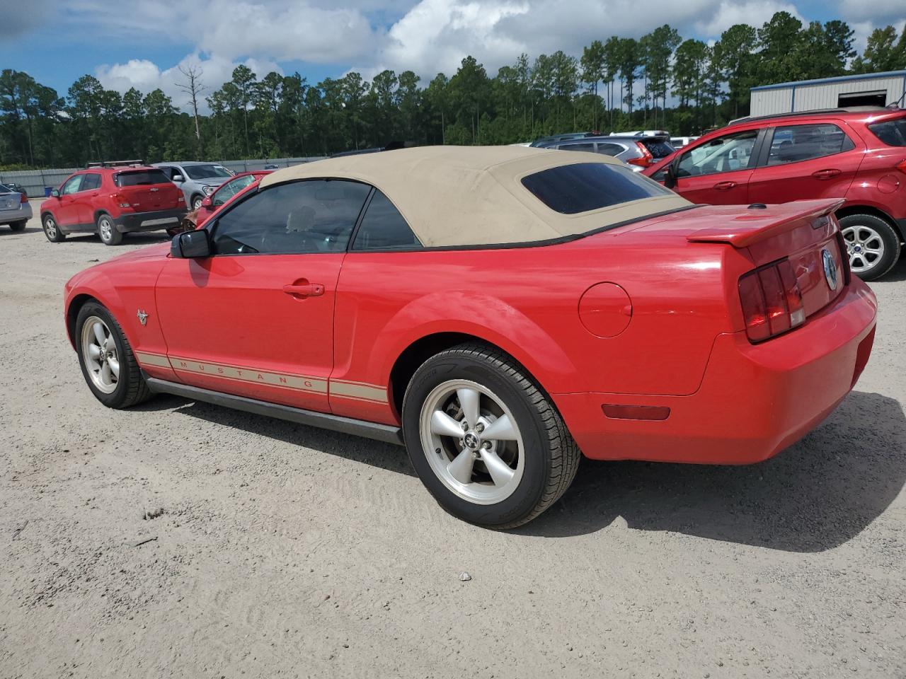 2009 Ford Mustang VIN: 1ZVHT84N695130313 Lot: 69046434