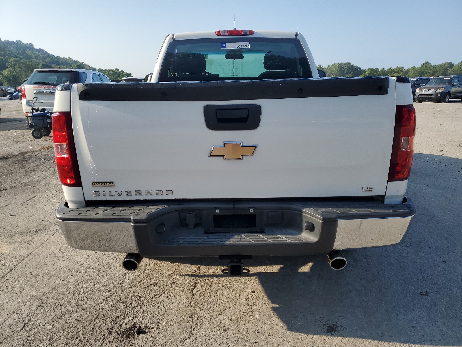 1GCPCPEA1AZ184796 2010 Chevrolet Silverado C1500