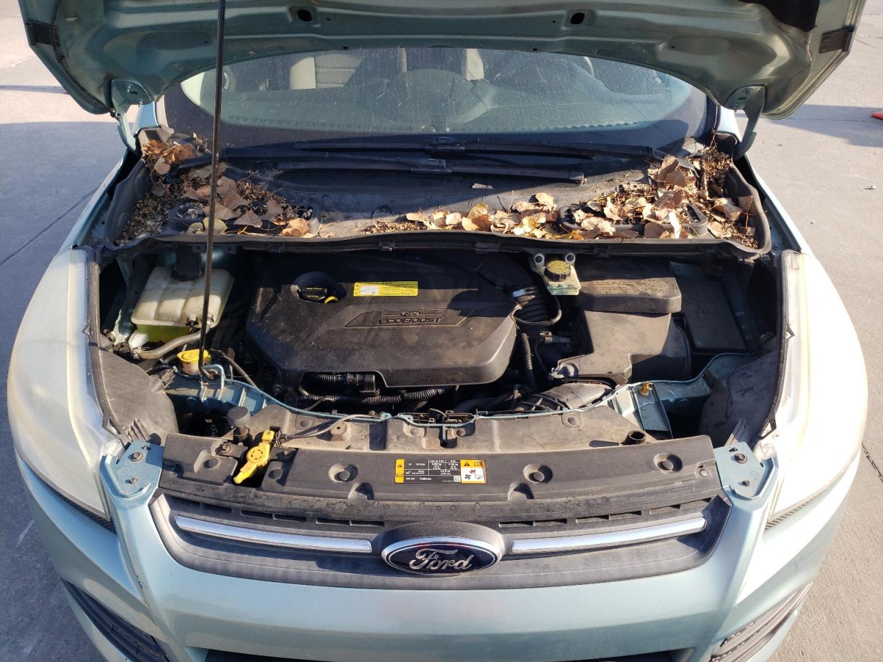 2013 Ford Escape Se VIN: 1FMCU0GX0DUB84872 Lot: 67097644