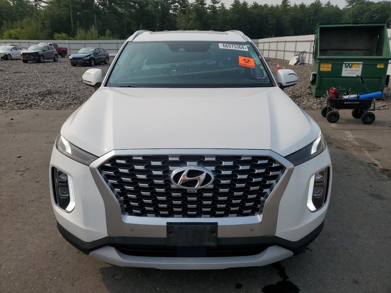 2020 Hyundai Palisade Sel VIN: KM8R4DHE9LU096335 Lot: 66975364