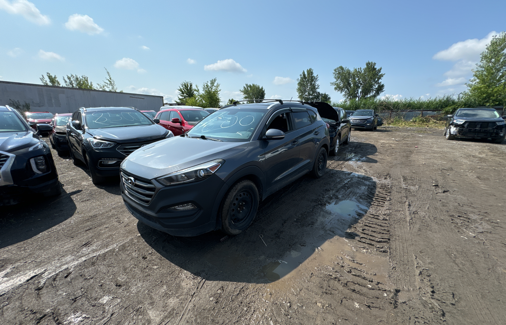 2016 Hyundai Tucson Limited vin: KM8J3CA47GU081365