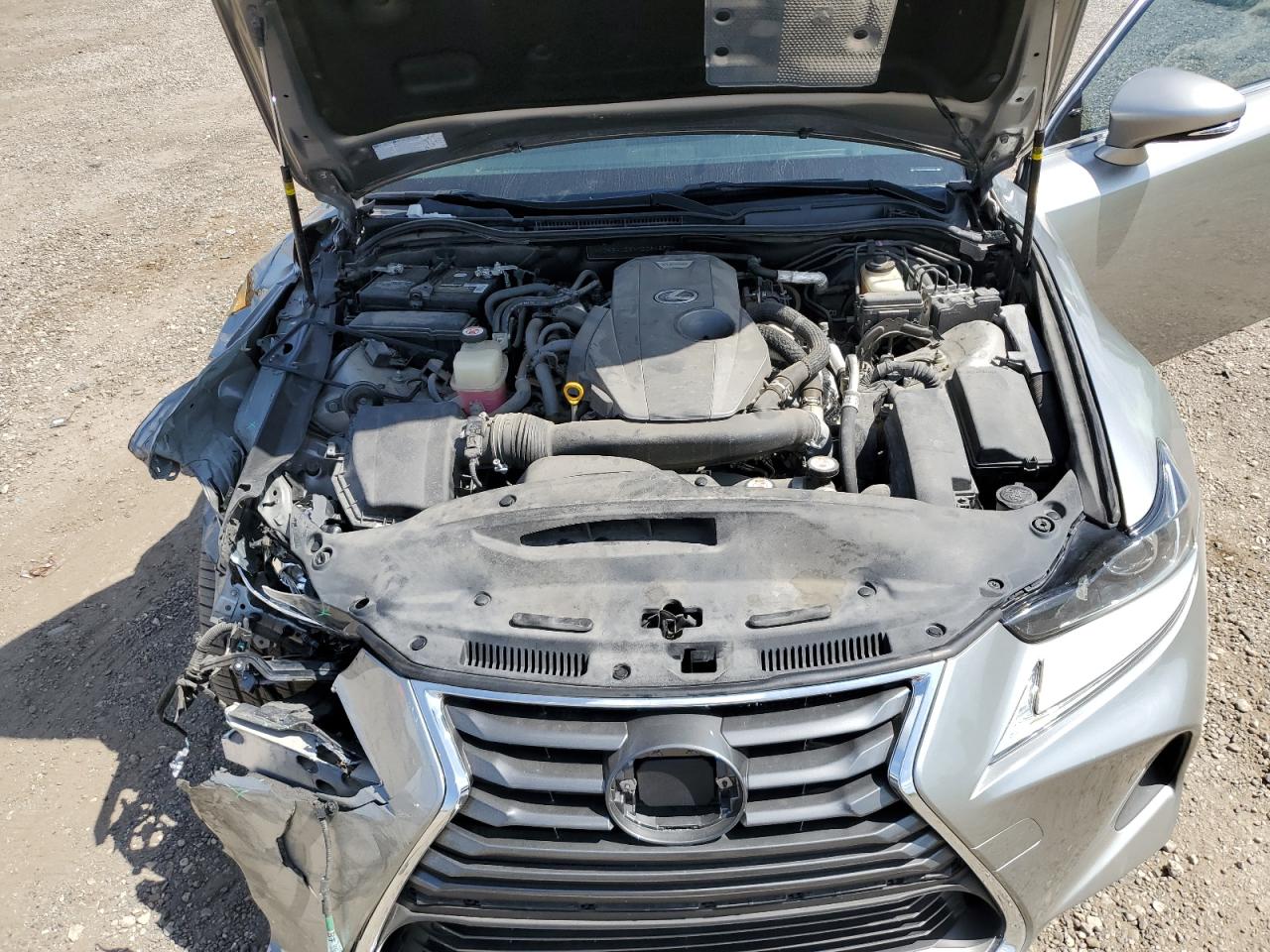 2019 Lexus Is 300 VIN: JTHBA1D2XK5084890 Lot: 65671424