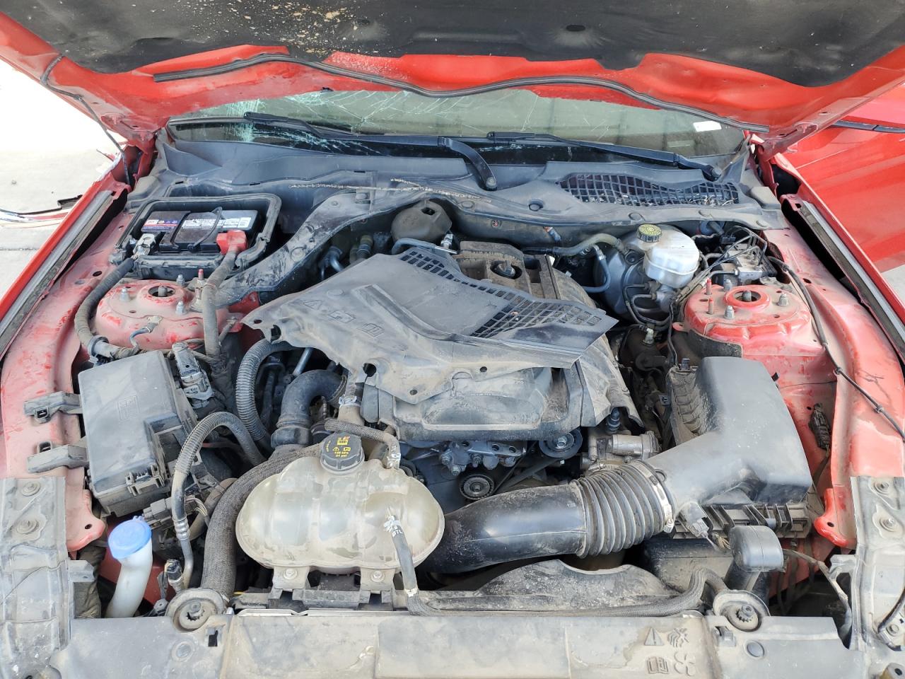 2019 Ford Mustang VIN: 1FA6P8TH0K5130958 Lot: 66937964