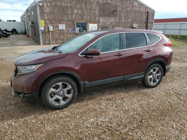  HONDA CRV 2019 Maroon