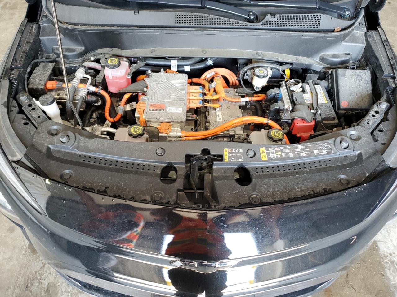 2023 Chevrolet Bolt Euv Lt VIN: 1G1FY6S09P4141101 Lot: 66032954