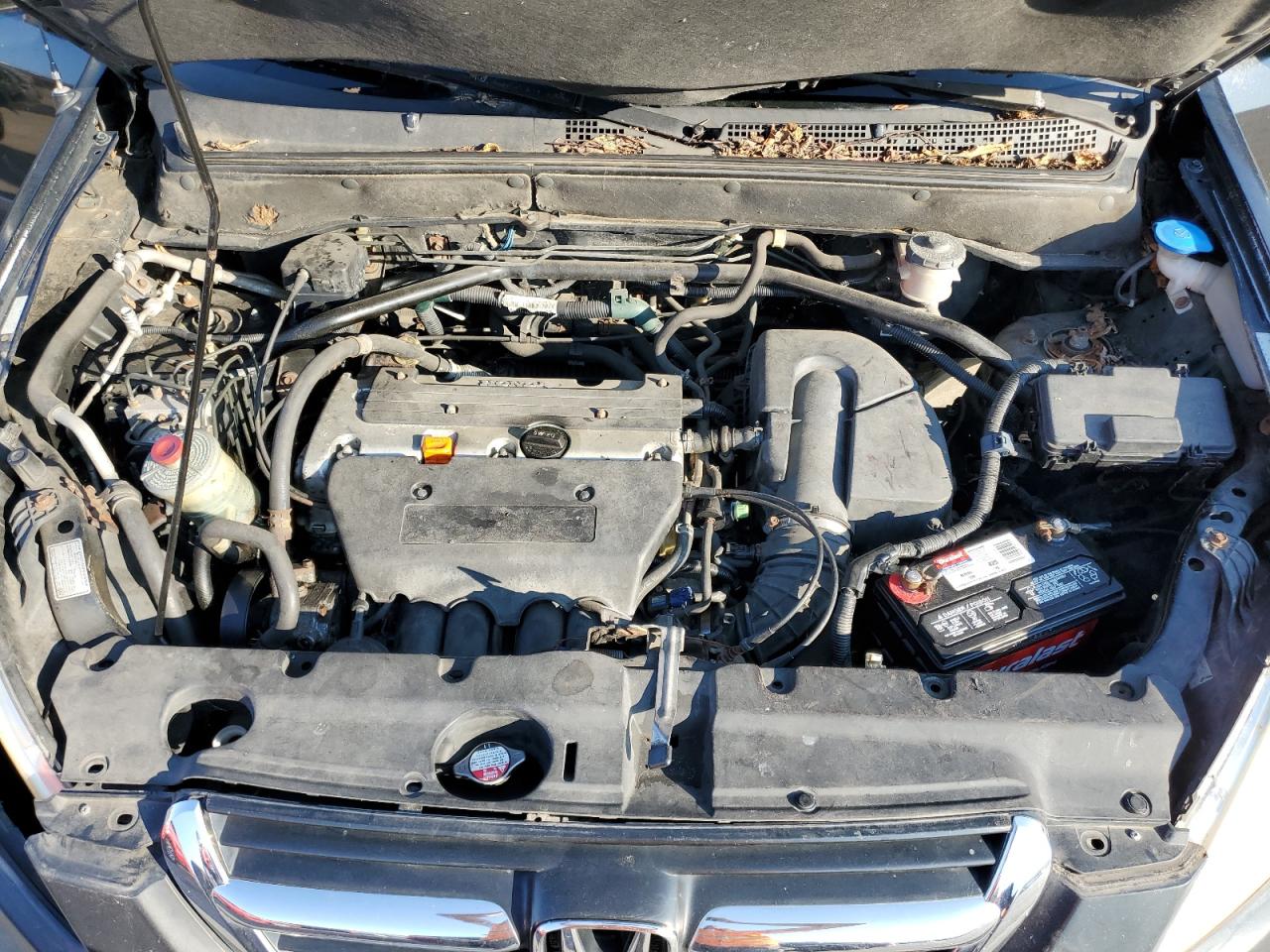 2004 Honda Cr-V Ex VIN: SHSRD78804U244312 Lot: 66406744