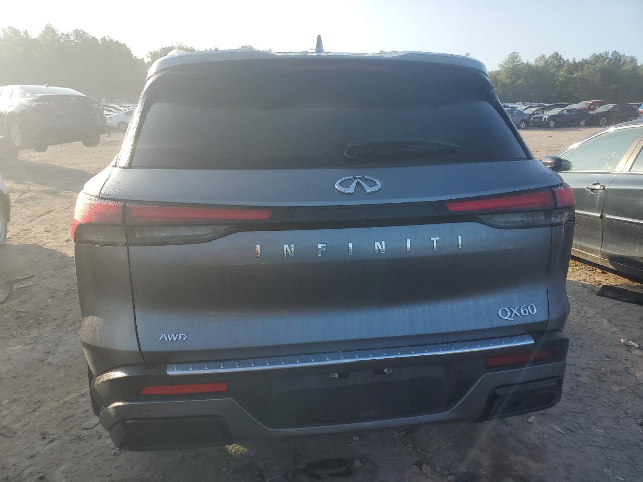 2023 Infiniti Qx60 Luxe VIN: 5N1DL1FS6PC356951 Lot: 68229544