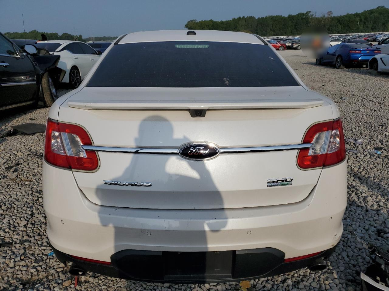 1FAHP2KT8AG143486 2010 Ford Taurus Sho