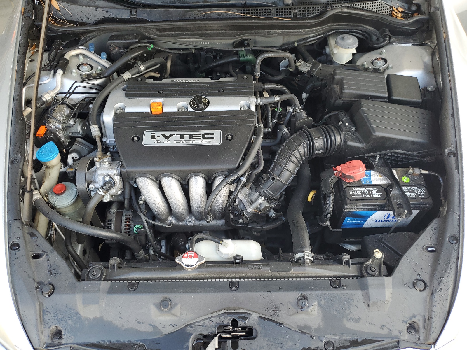 1HGCM56386A113523 2006 Honda Accord Se