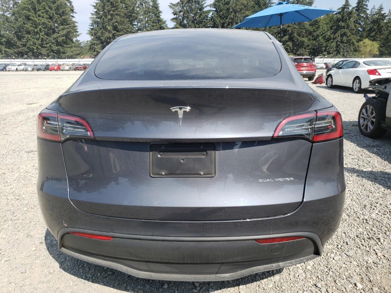 2023 Tesla Model Y VIN: 7SAYGDEEXPF922235 Lot: 65573764