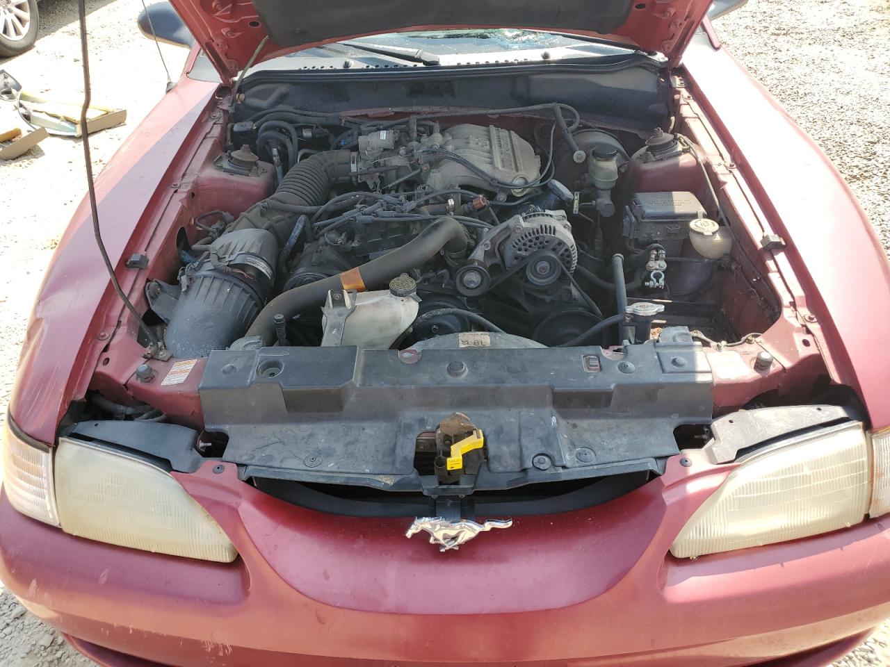 1998 Ford Mustang VIN: 1FAFP4044WF238266 Lot: 65421814